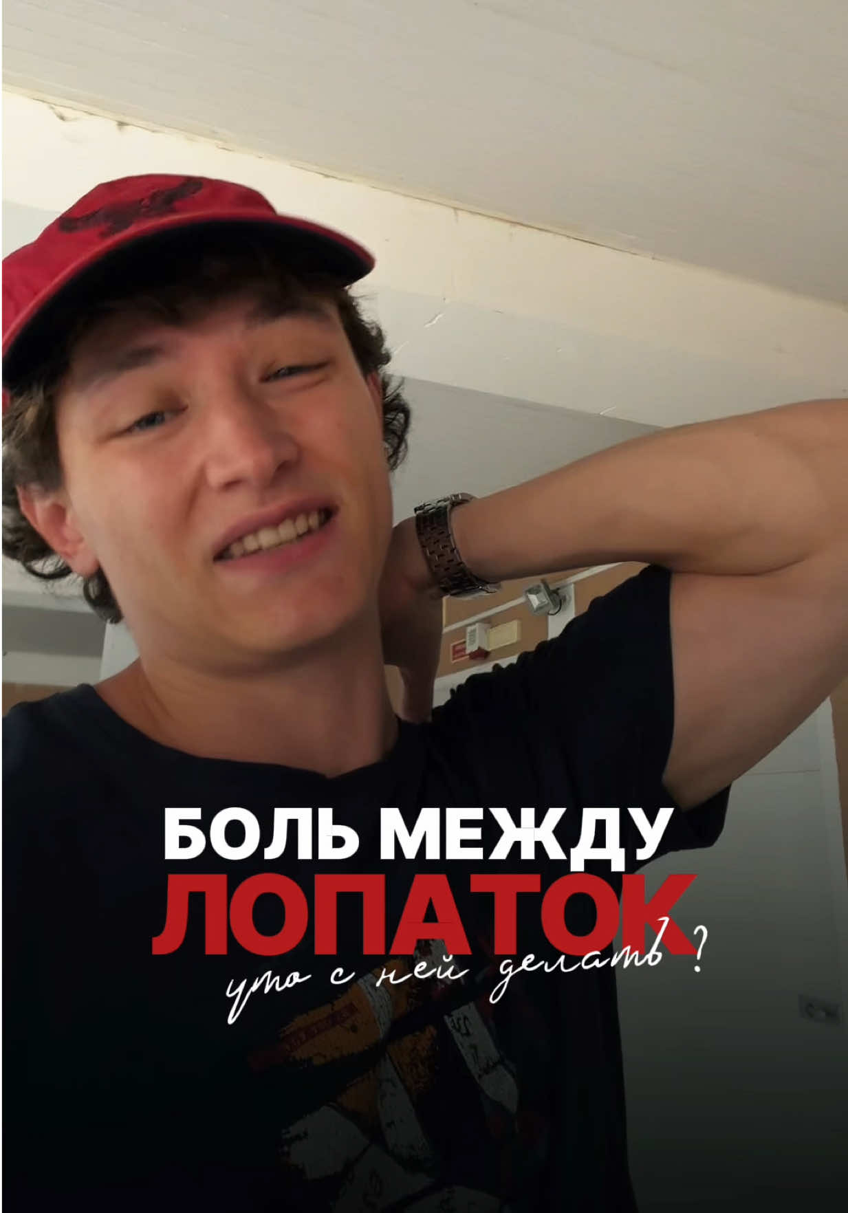 @protokolis