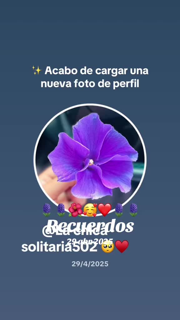 @Solitaria502🥀❤️🥀