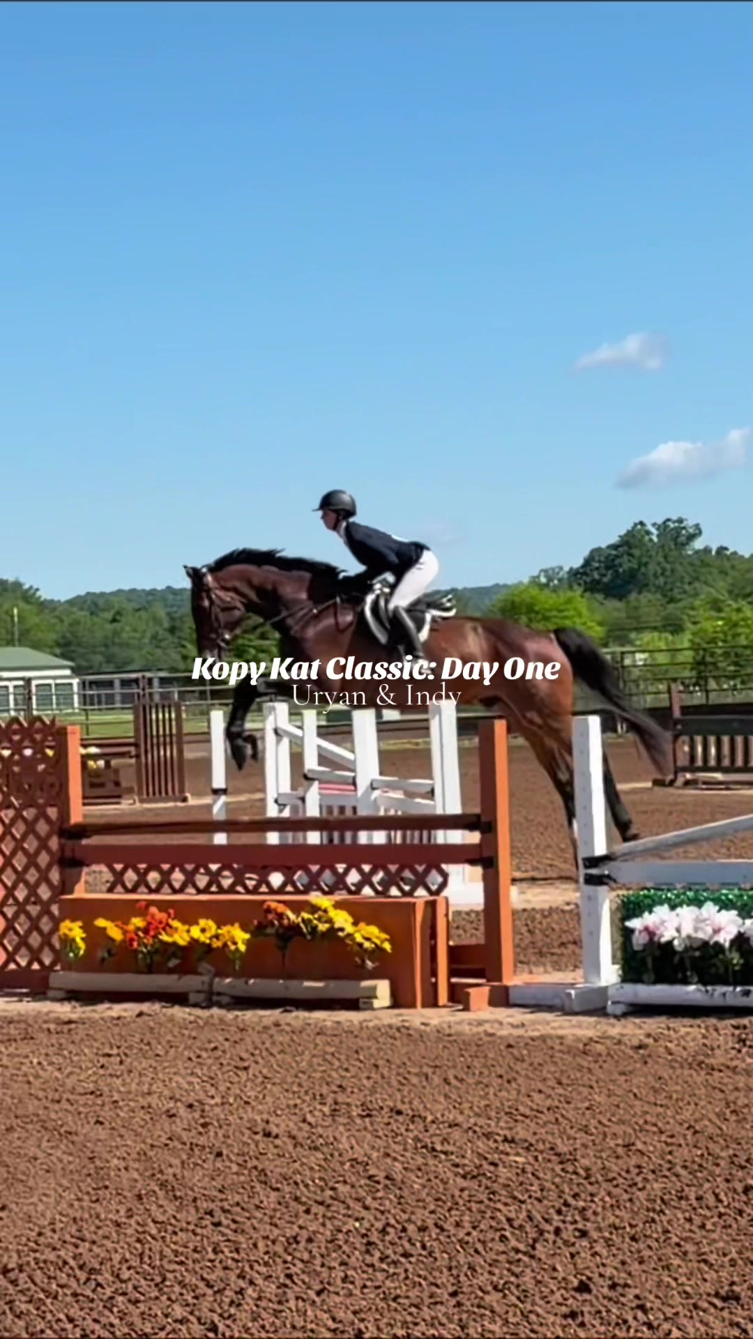 @Lunar Hill Equestrian