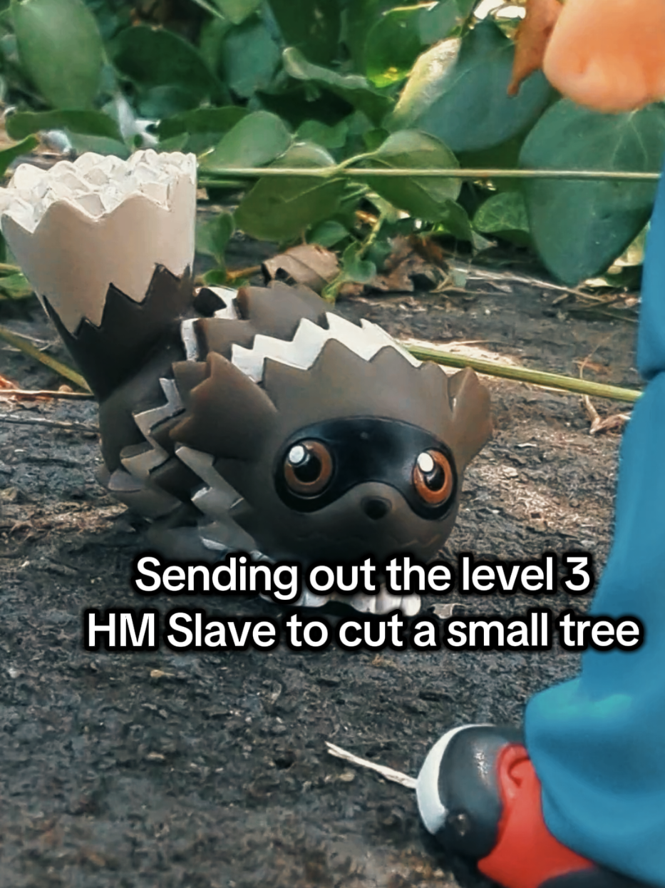 @SokoToyz
