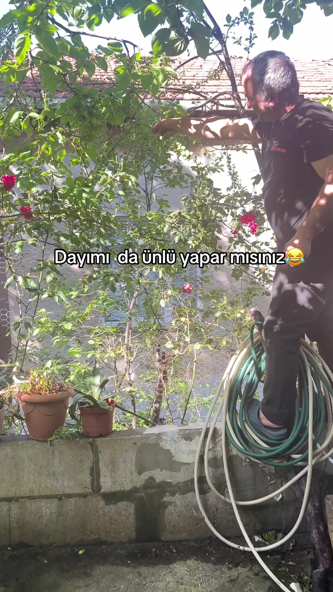 @Gülcan Kazdal