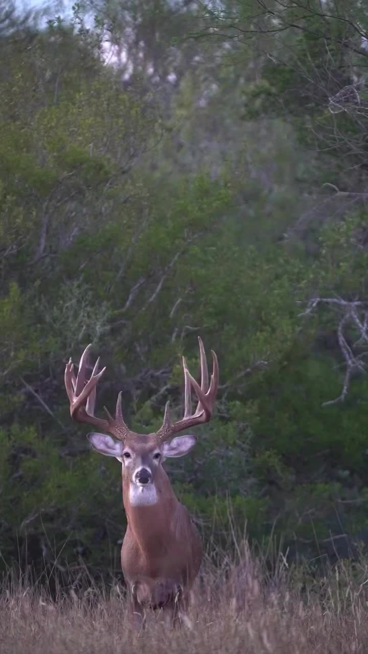 @Buckmasters Outdoors