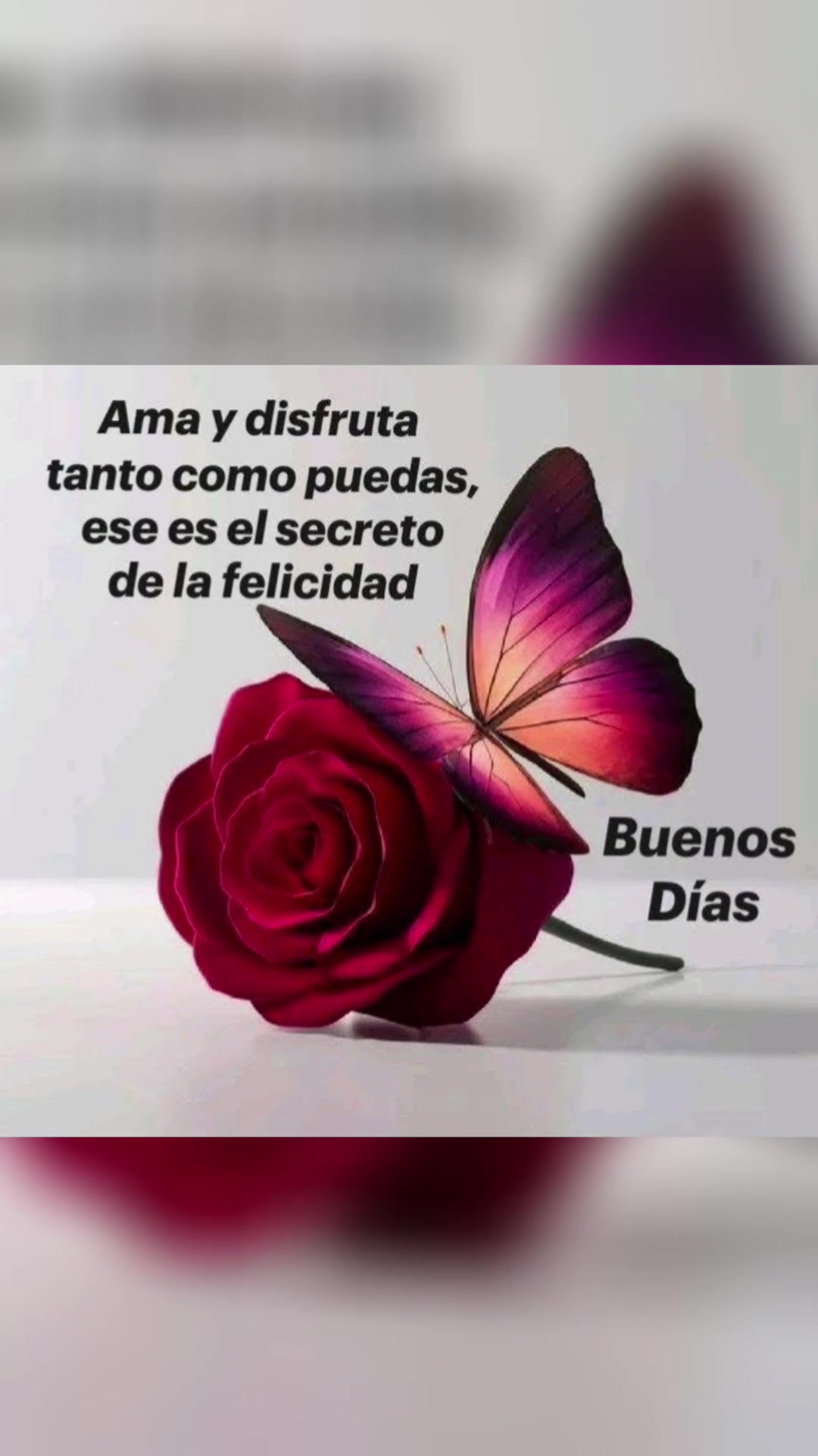 @elvirasvg