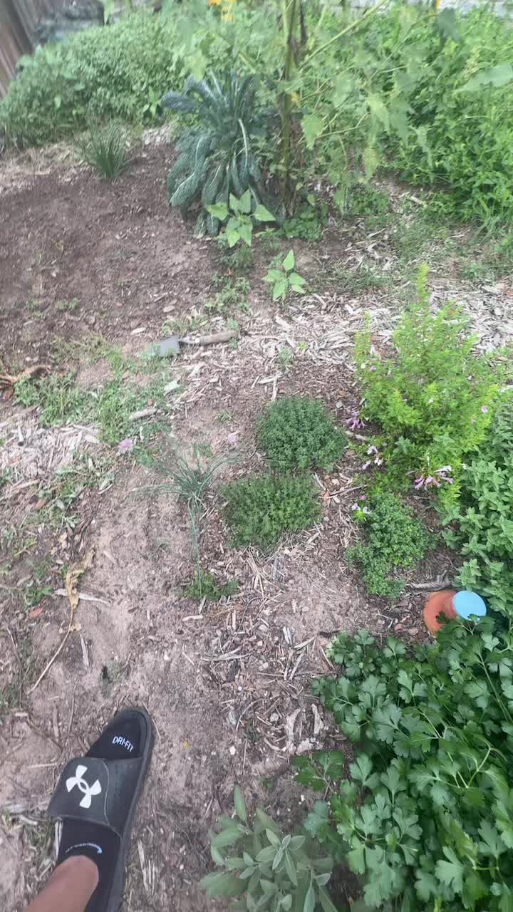 @themagicvalleygardener