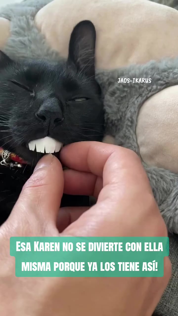 @JAOS-IKARUS
