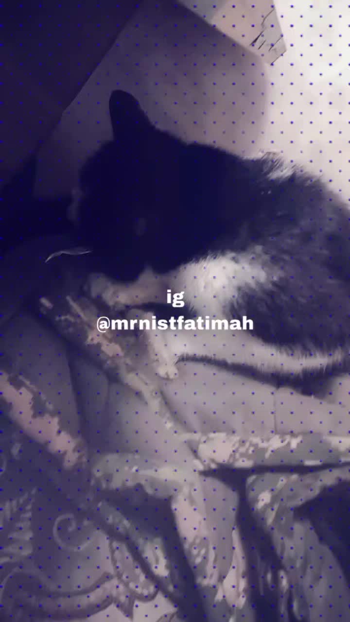 @Мукабай 🐈