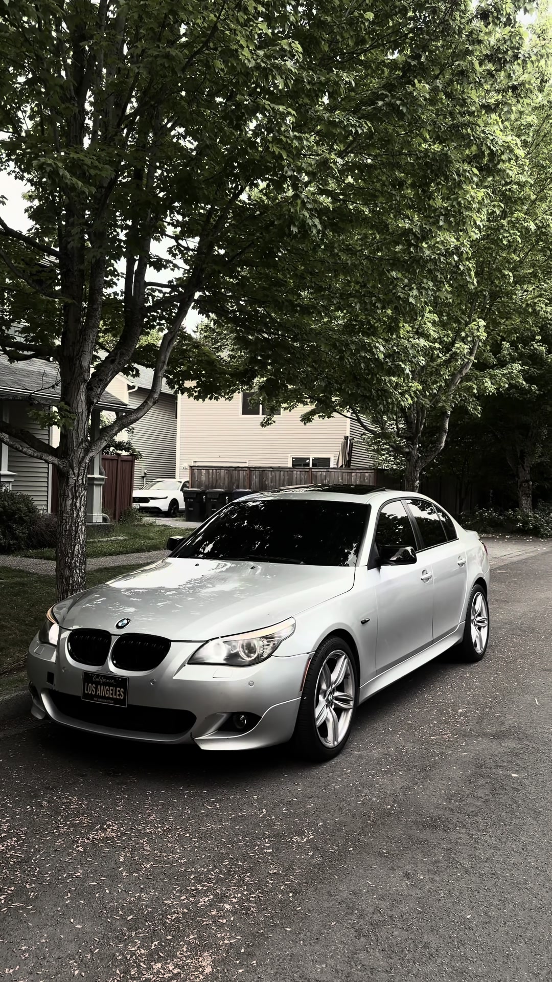 @Multov.77