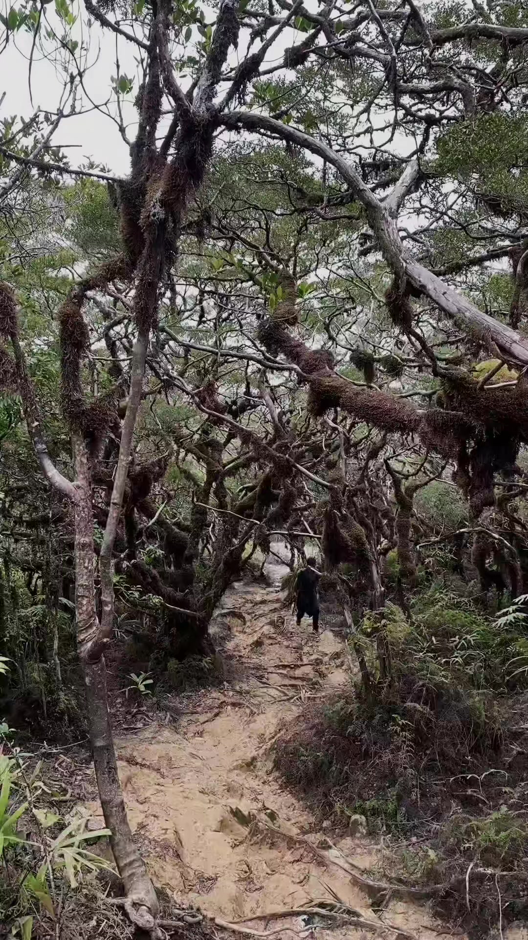 @Michael Hayer