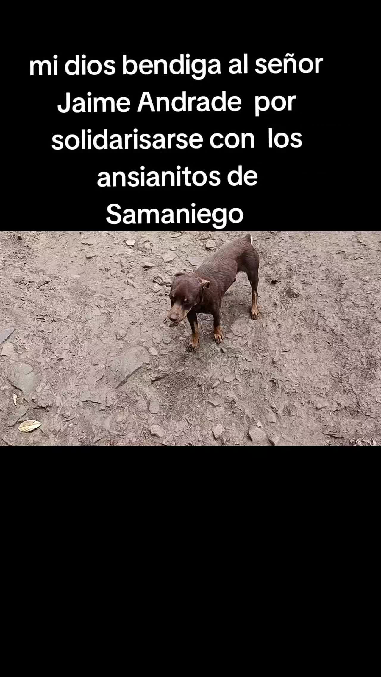 @Roberto Chamorro