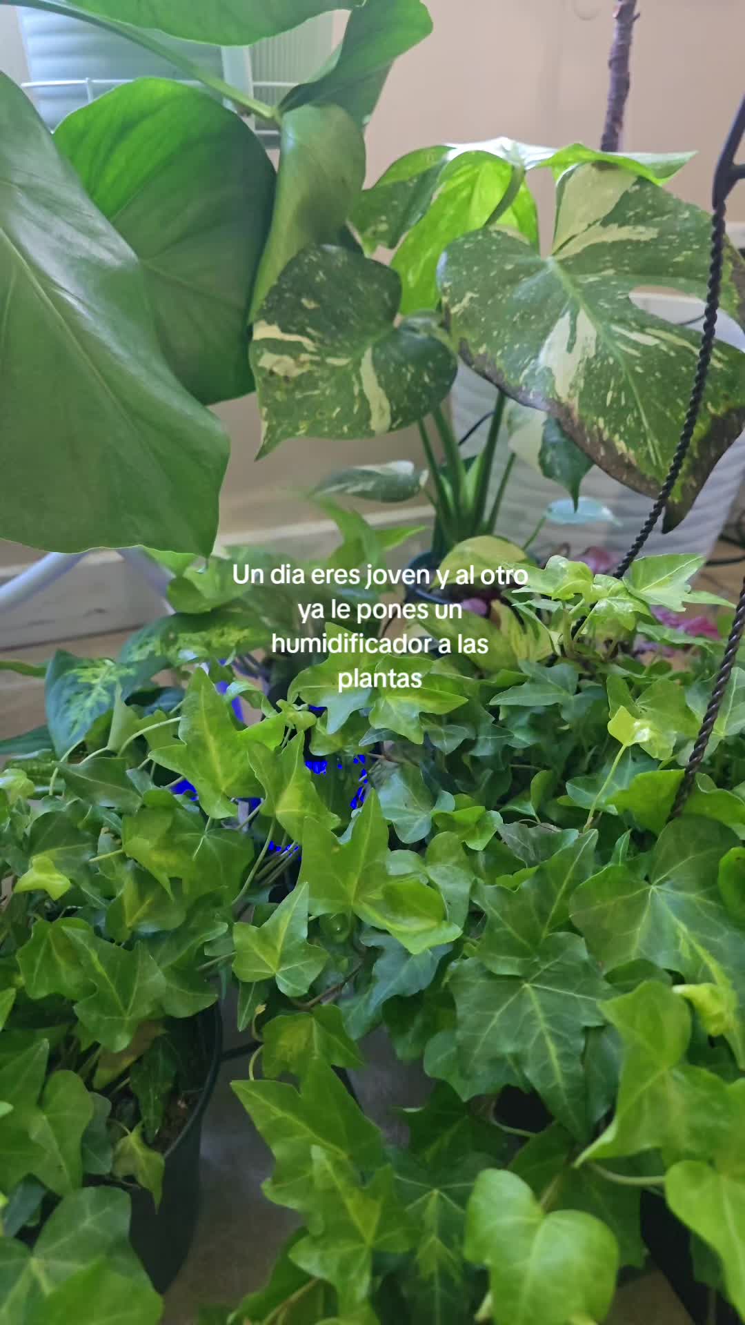 @Paloma 🖤✨