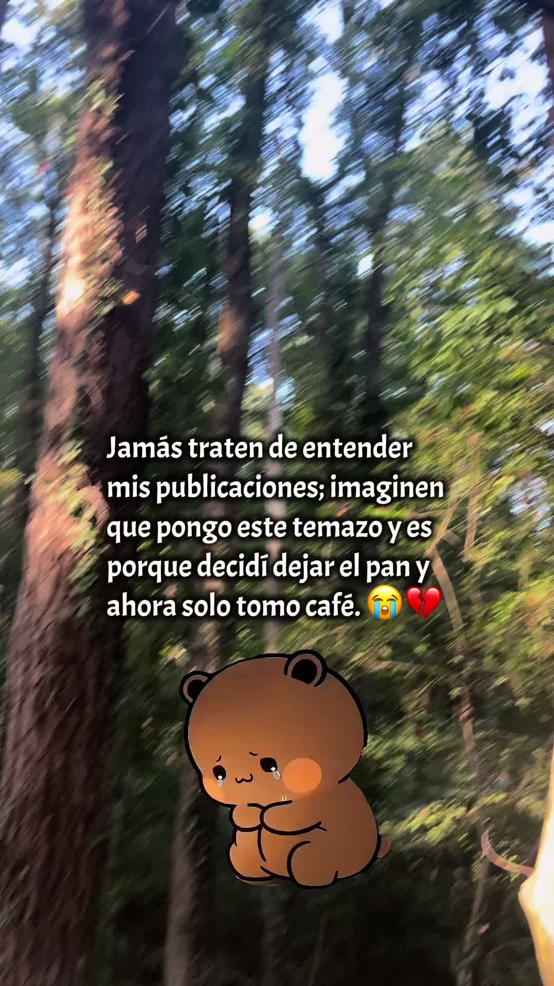 @ChofiAV