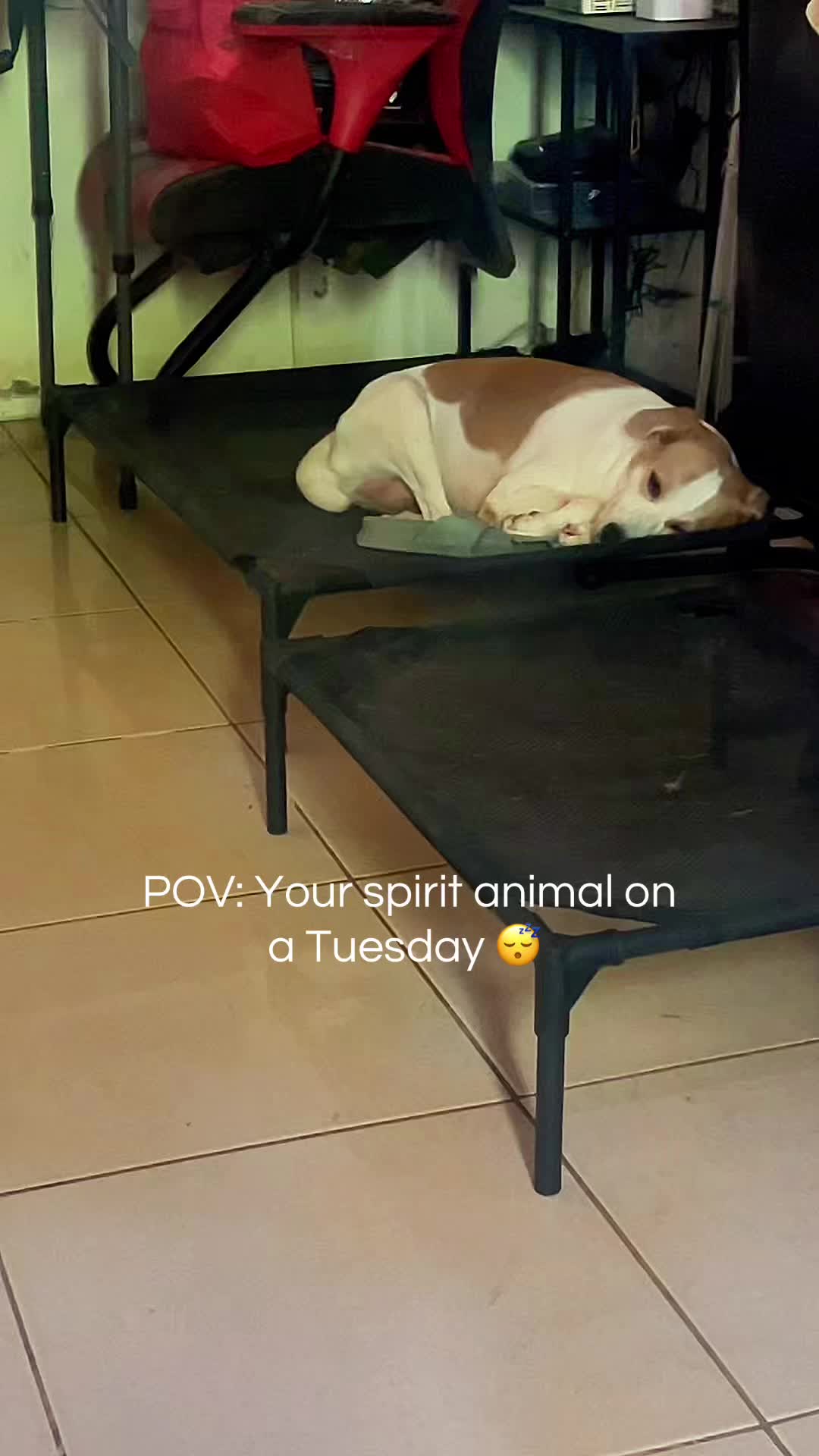 @Joy Cee