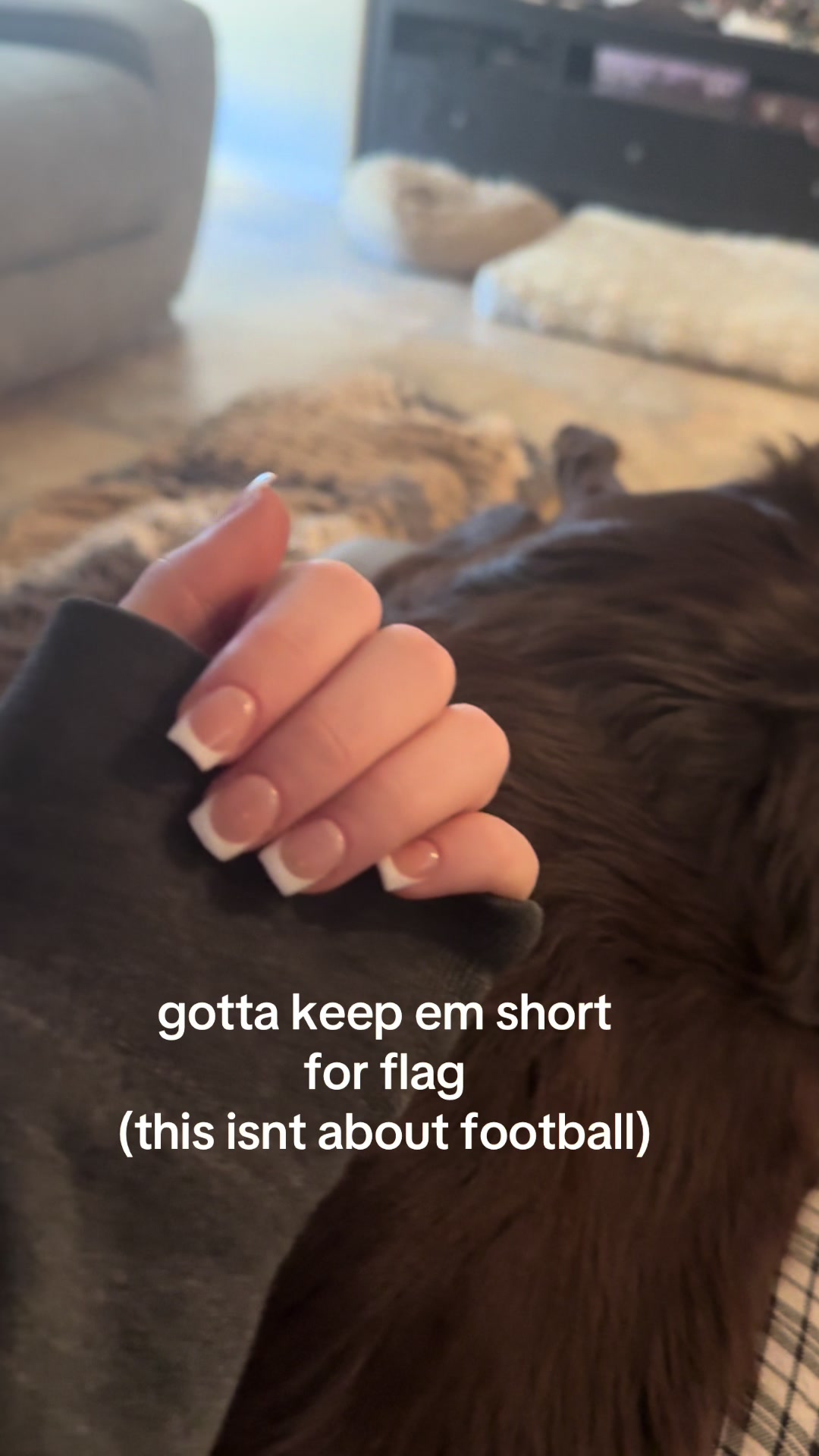 @brl🦉