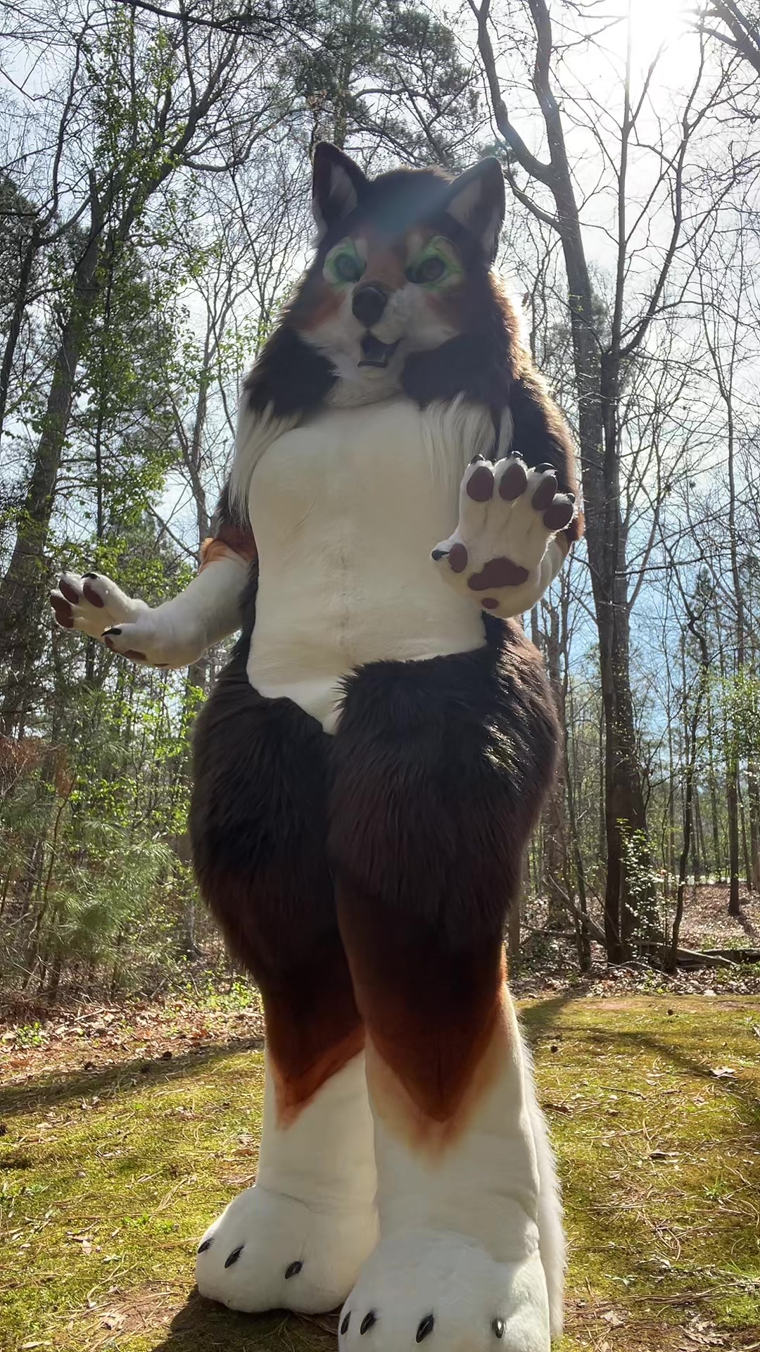 @Hazel Wolf