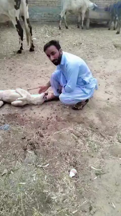 @Ahsan bazigar