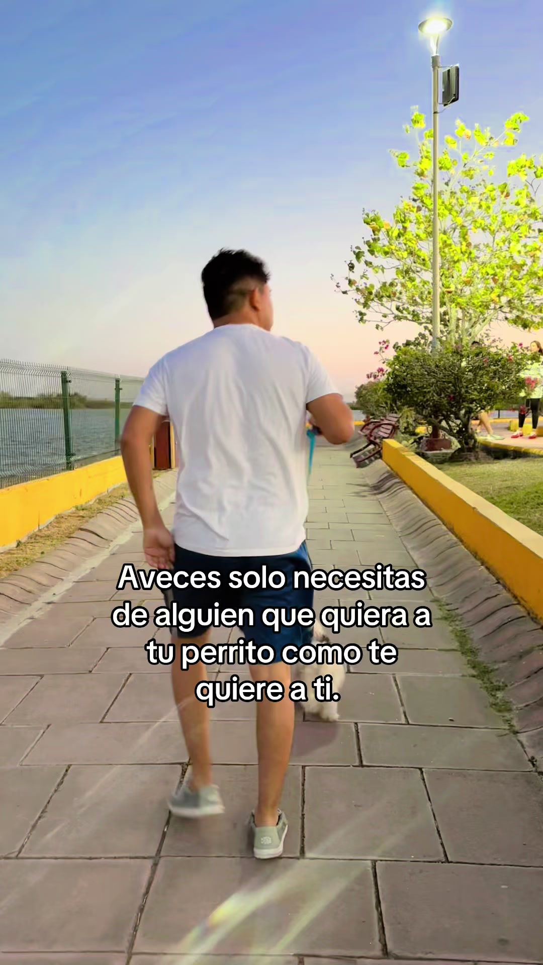 @Alex Zamudio