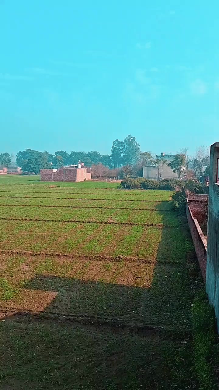 @manga Kalyan