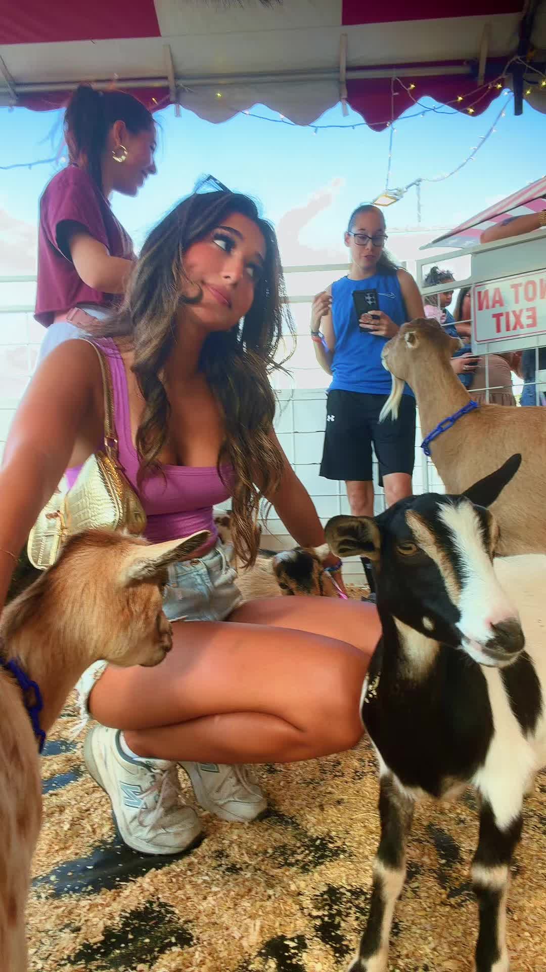 @ALYNAA