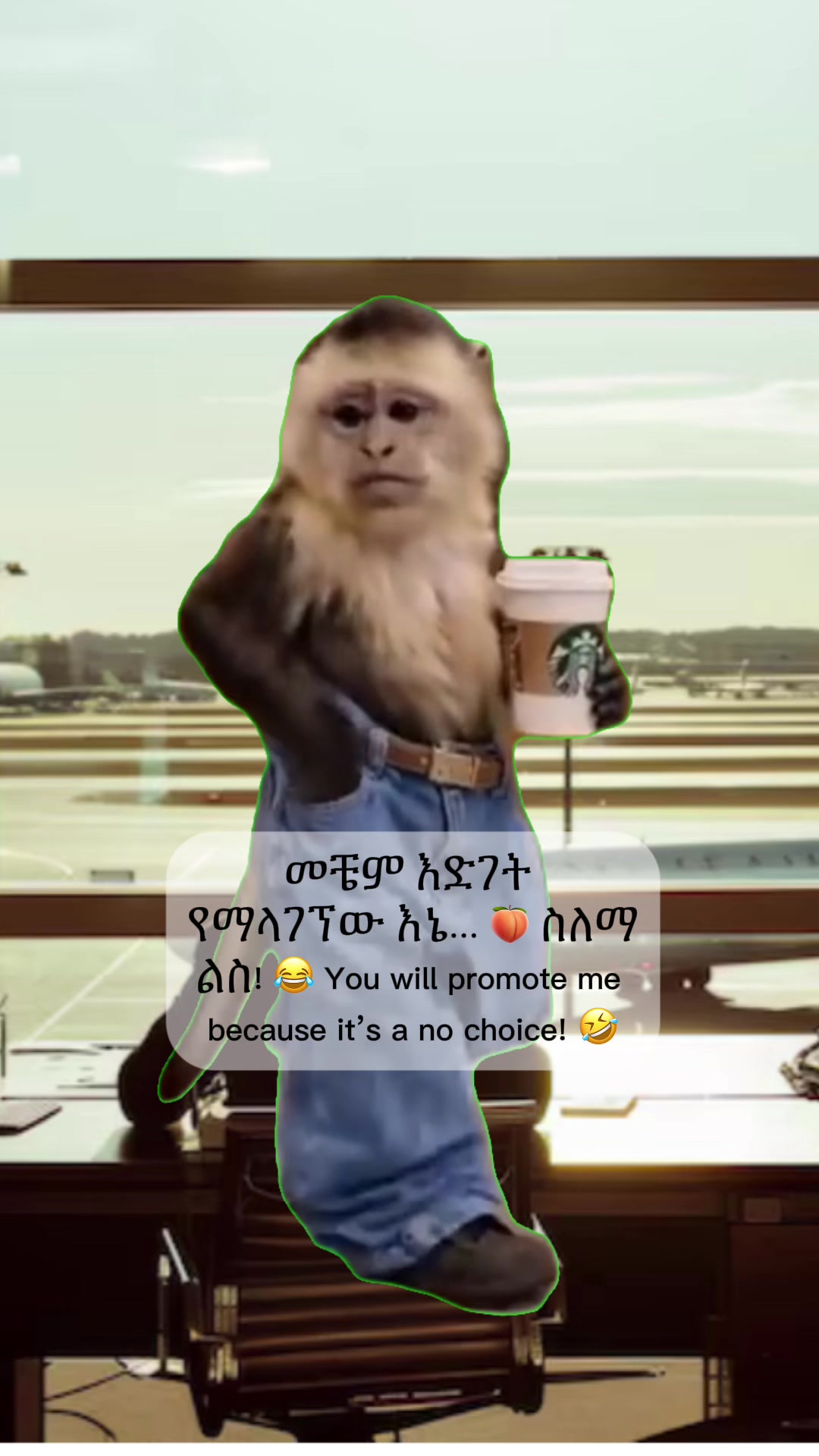 @แแ /แจแ ๐ช๐น๐บ๐ธ