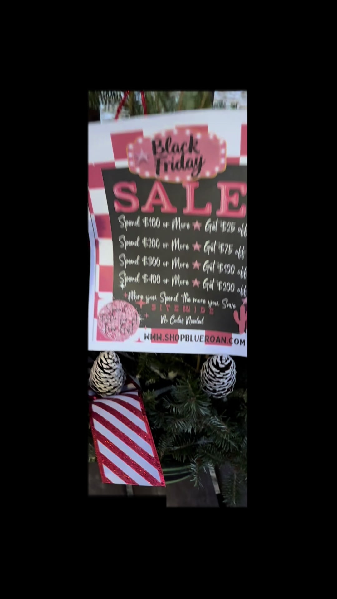 @Blue Roan Boutique
