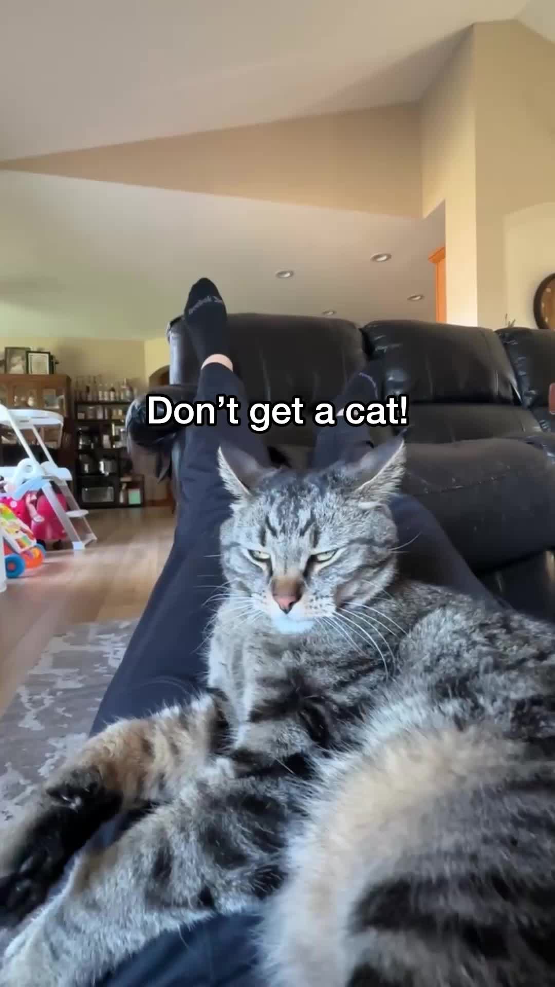 @Chip The Manx