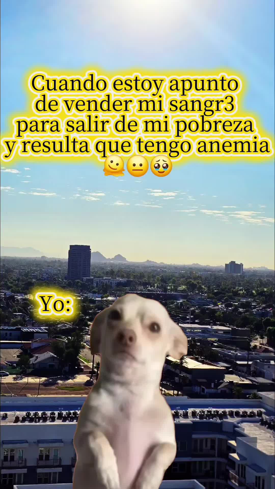 @nenaa.
