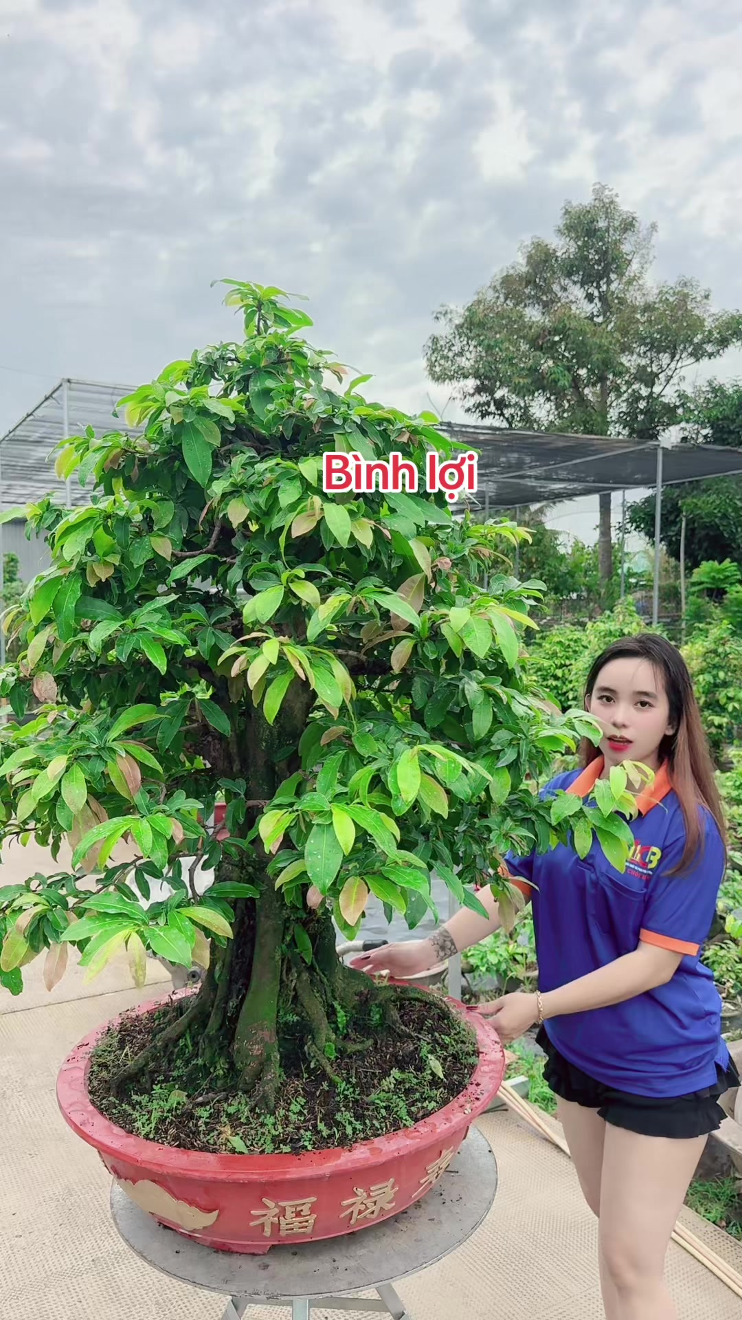 @Chichchoebong79