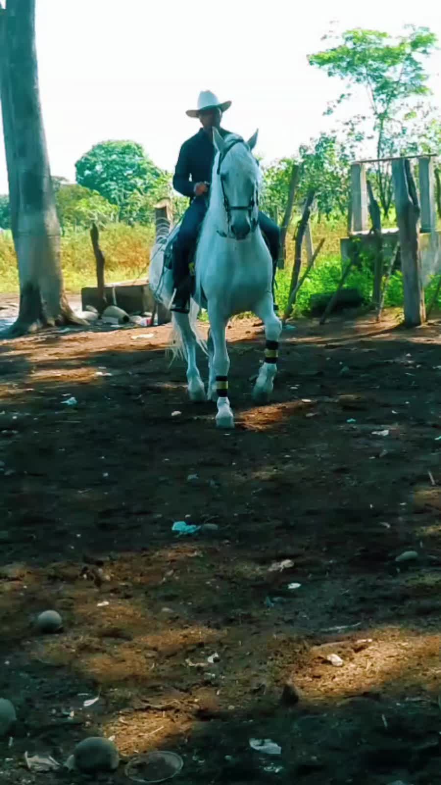 @🍀"GABINO"🍀