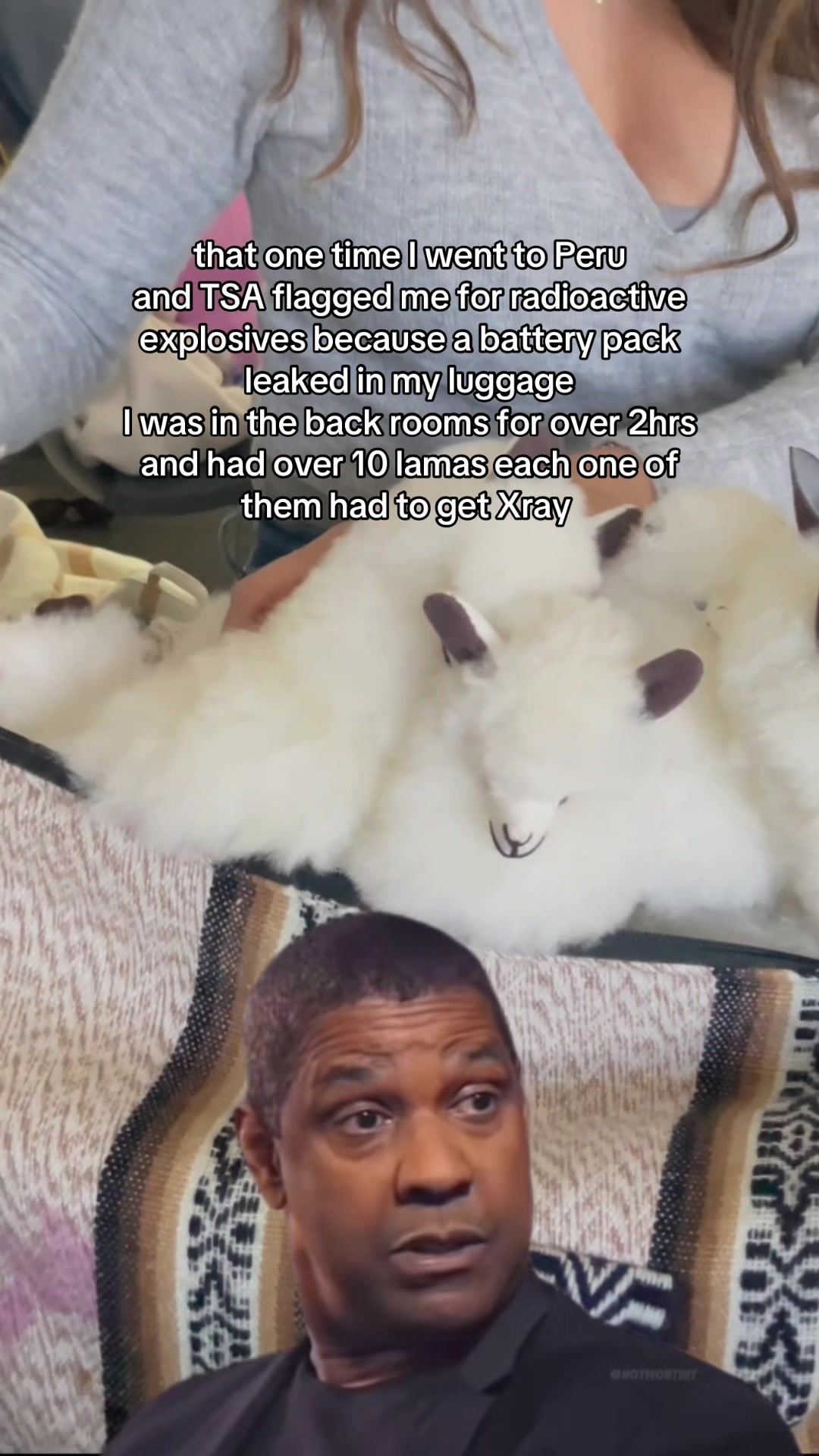 @elz