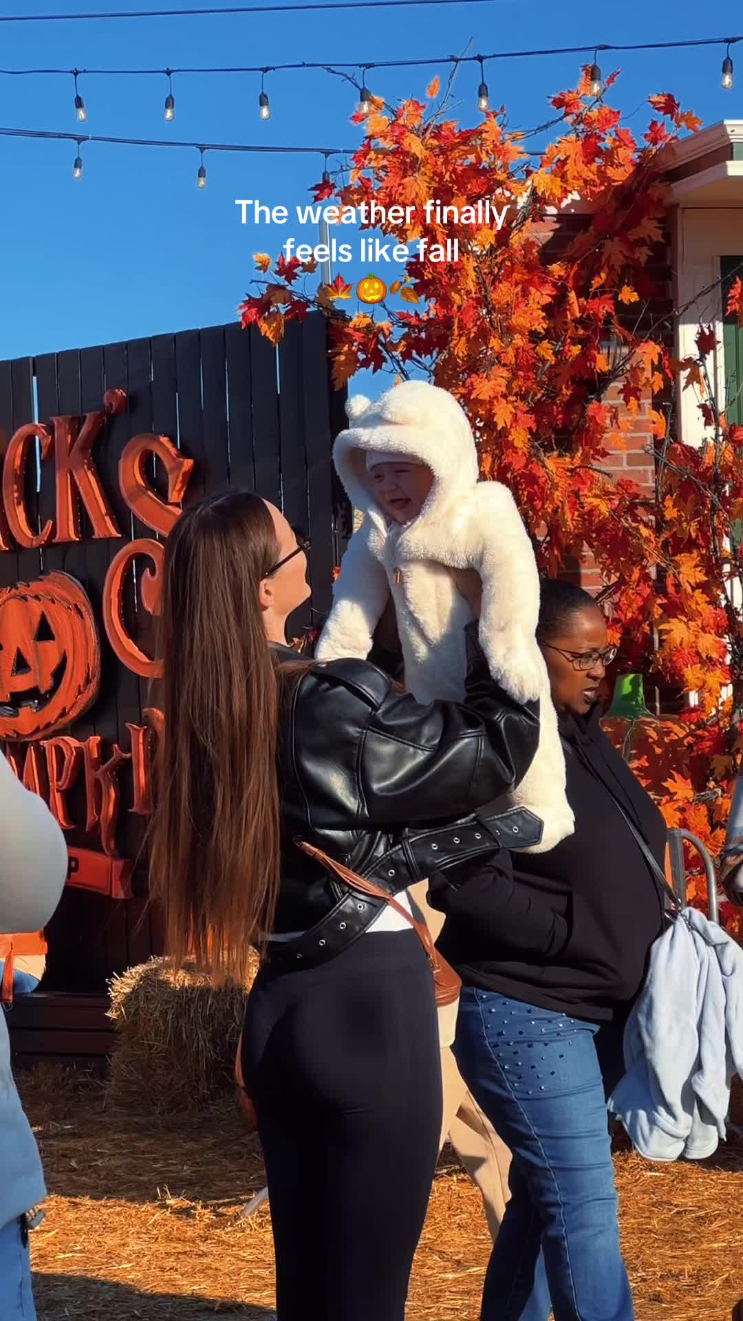 @Jack&rsquo;s Pumpkin Pop-Up