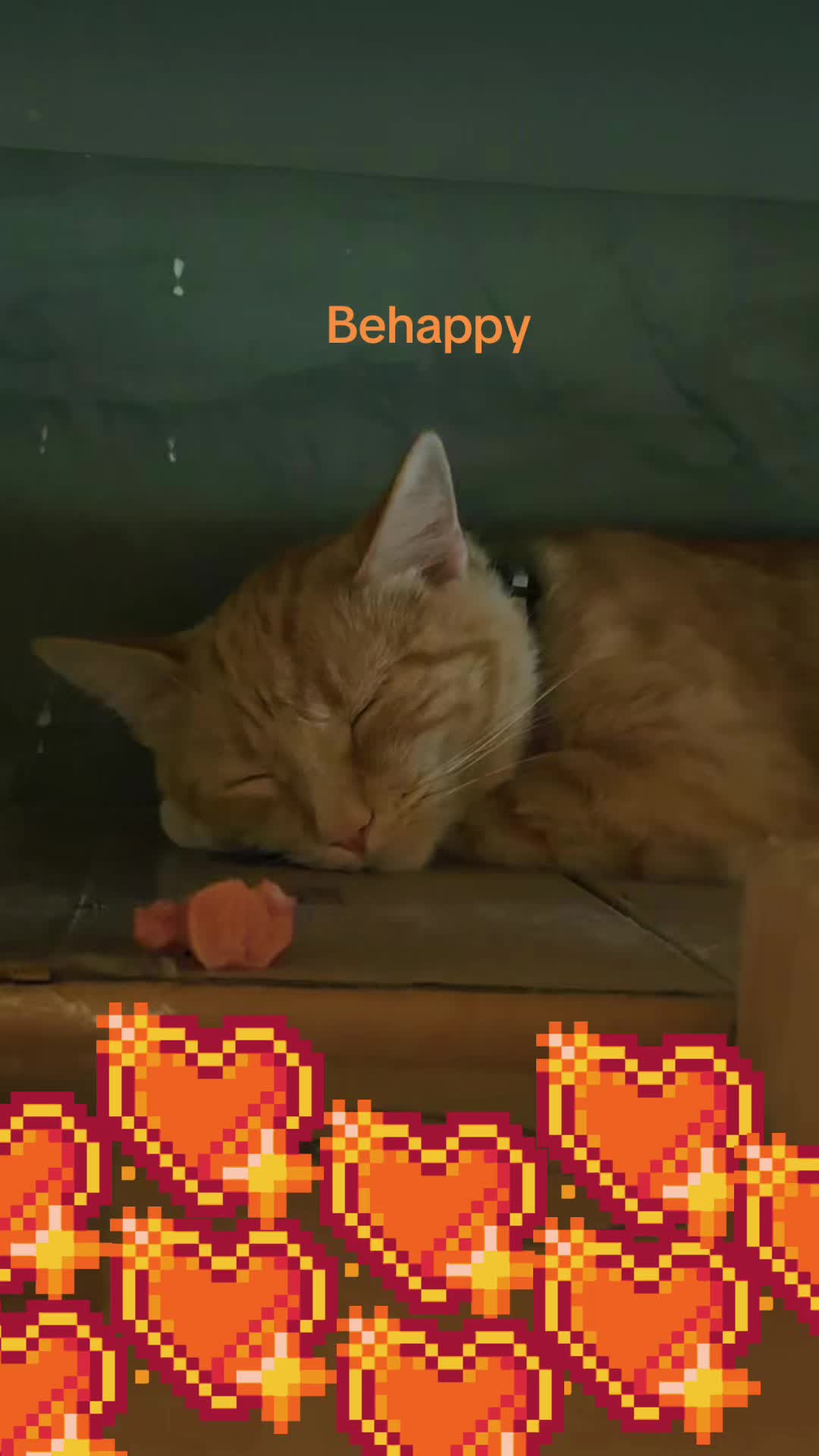 @Amri Gatitos