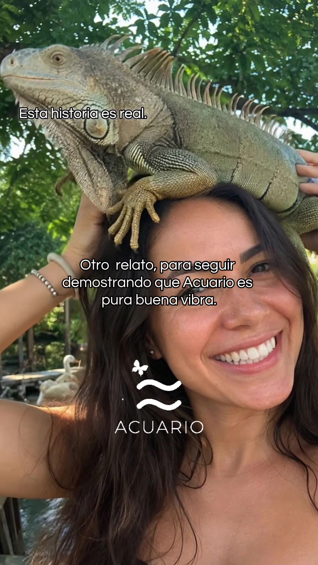 @Astral-Messenger