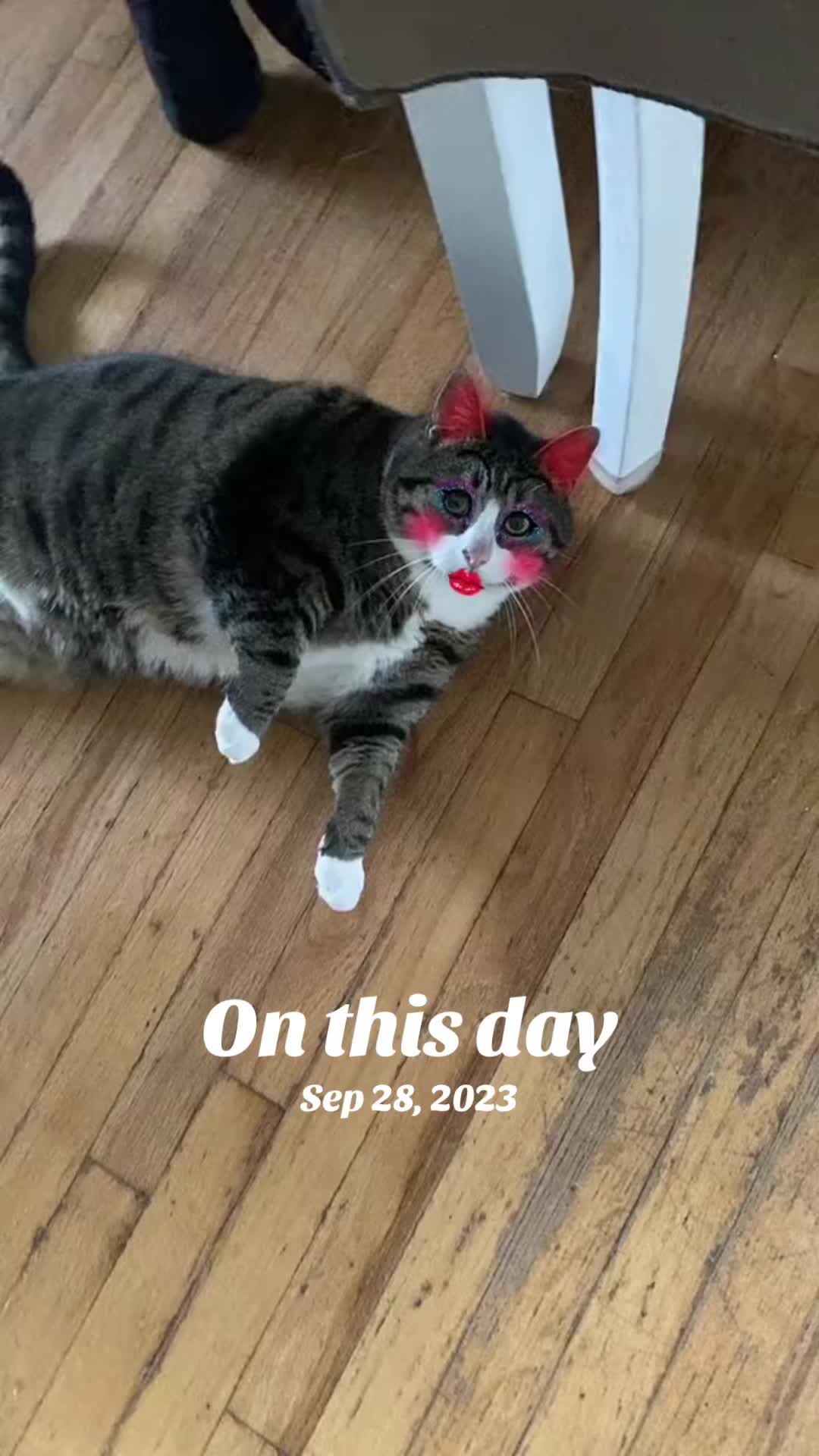 @Lucytony21❤️