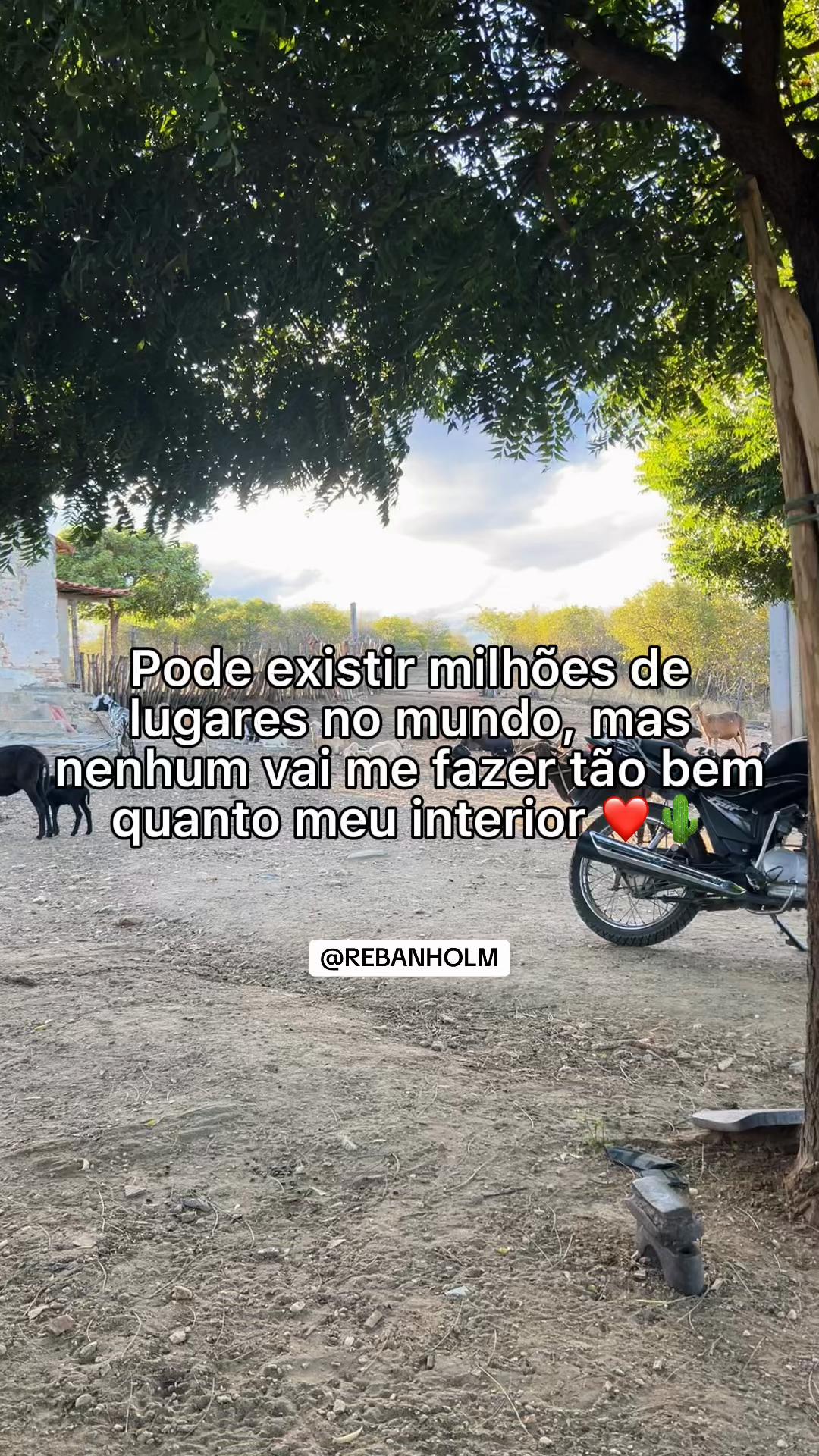 @REBANHO LM