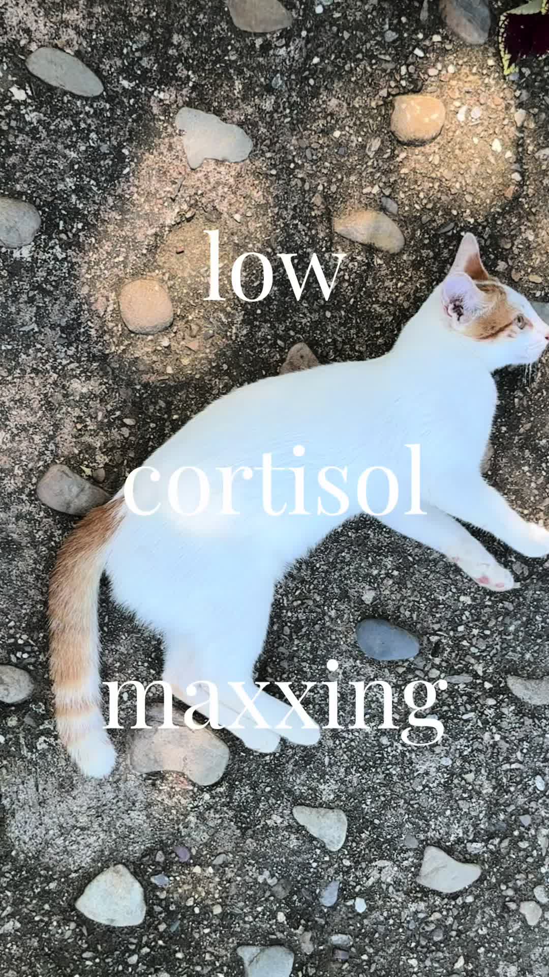 @Katelyn
