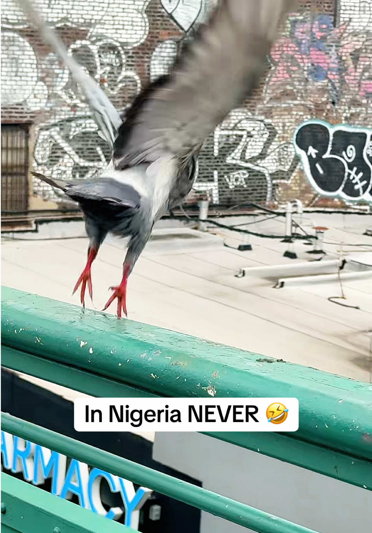 @Moremi ❤️🔥⚜️💎