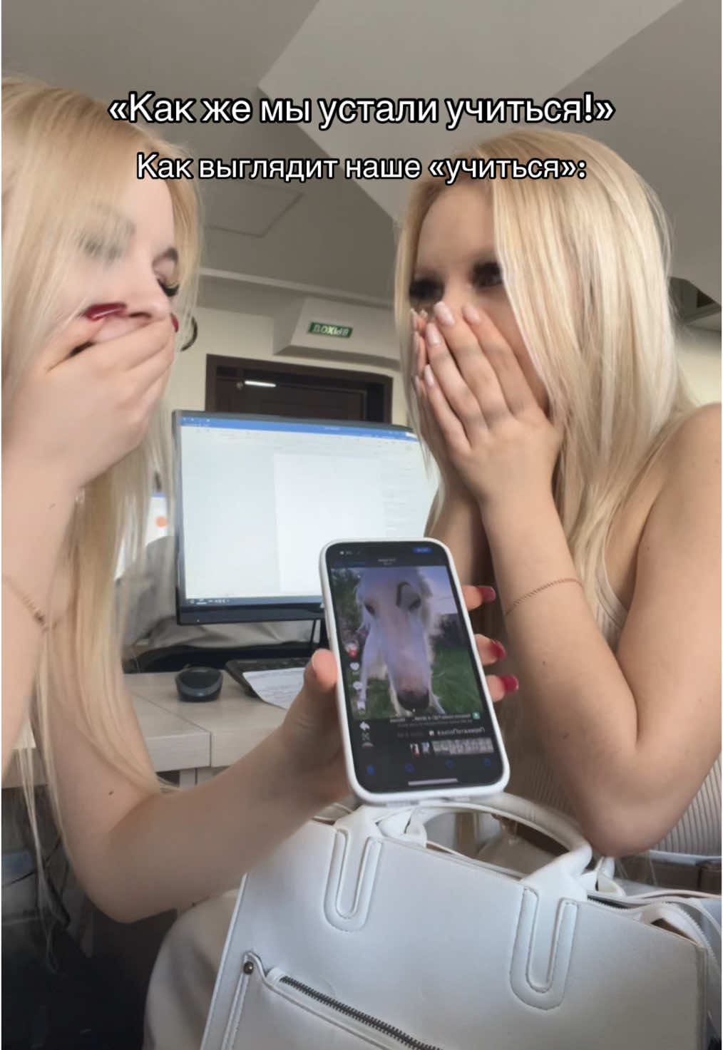 @близняшкины