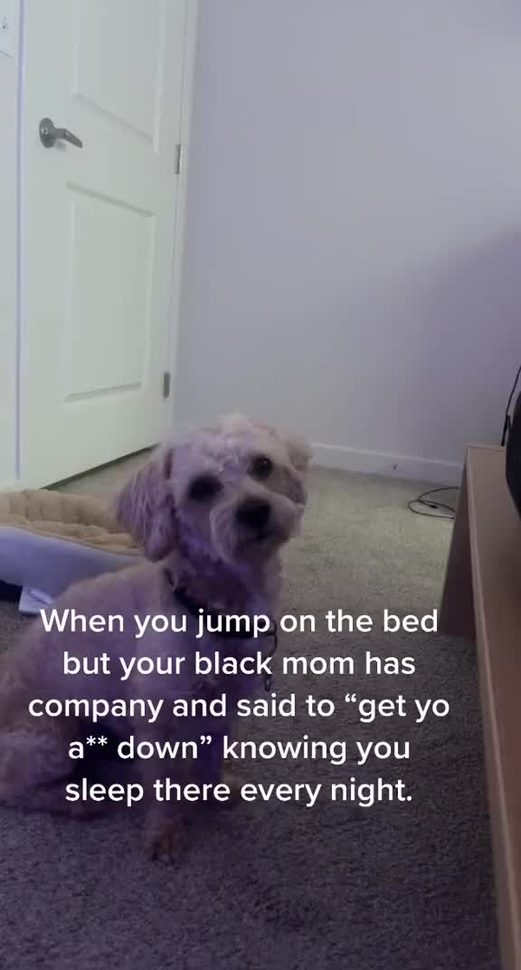 @Ricotrap