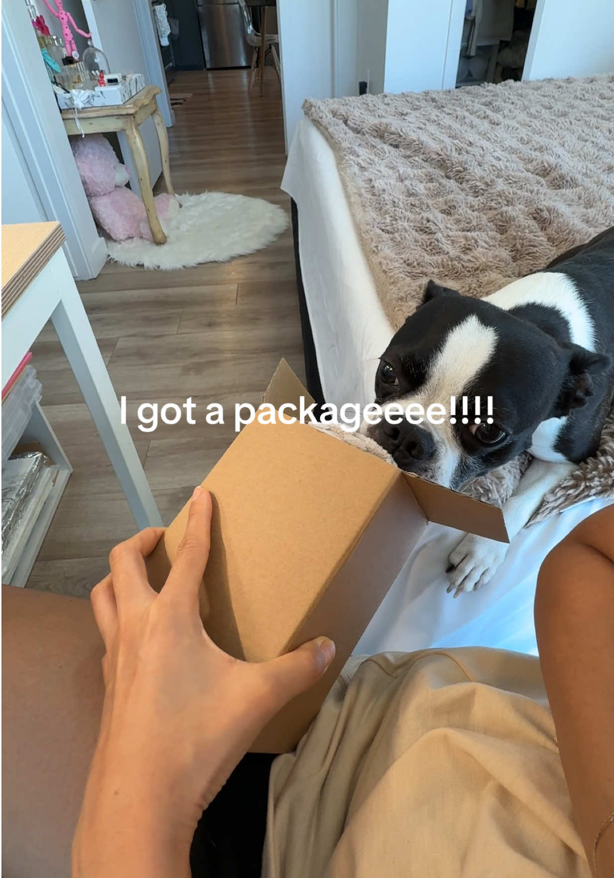 @LouieBostonT