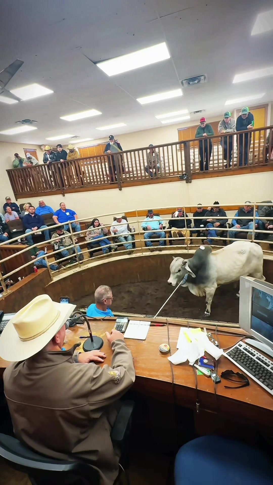 @Cattlemen&rsquo;s Livestock Market