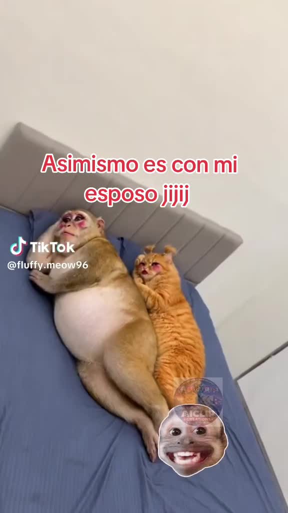 @alina