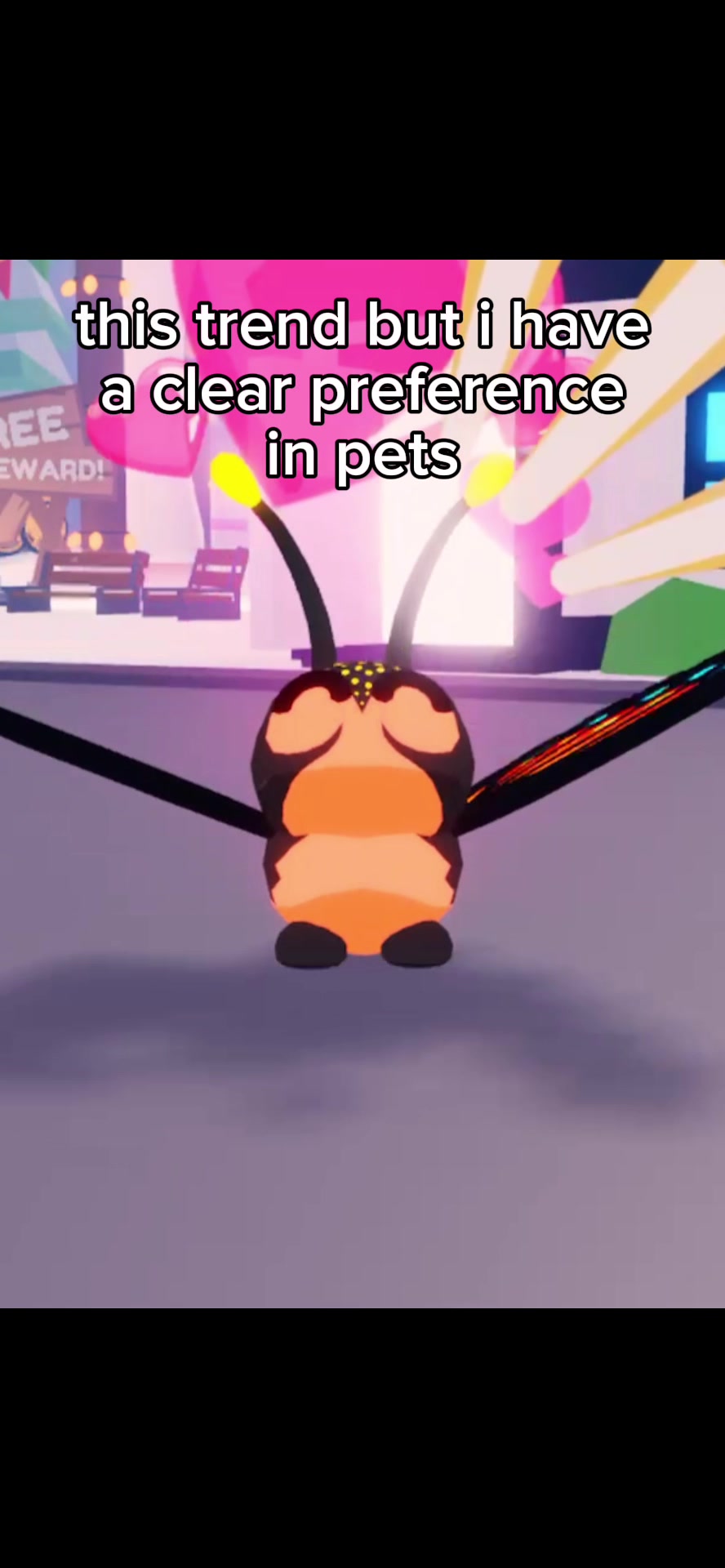 @laz 🕷️