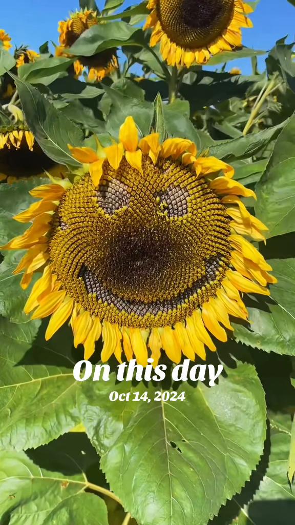 @Michele 🌻The Creative Muse🌻❌