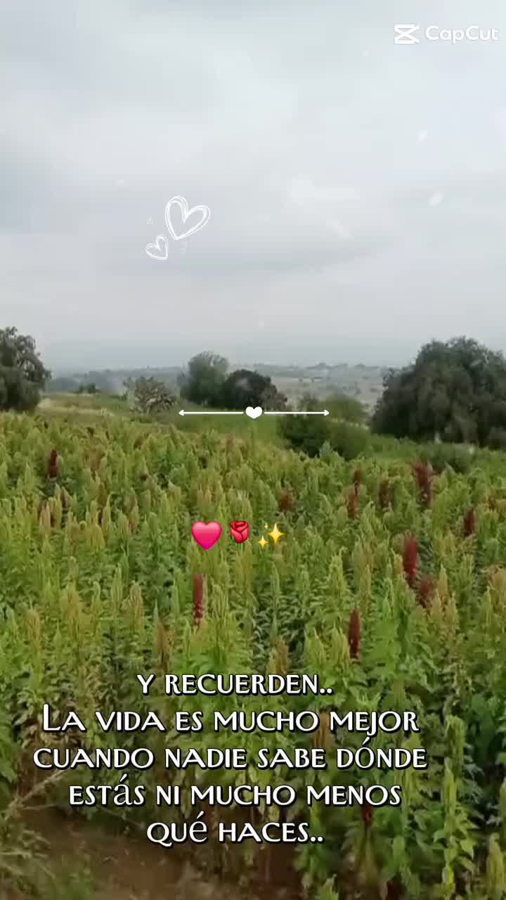 @𝐶𝐻𝐼𝑀𝐴𝐷𝑂𝑅
