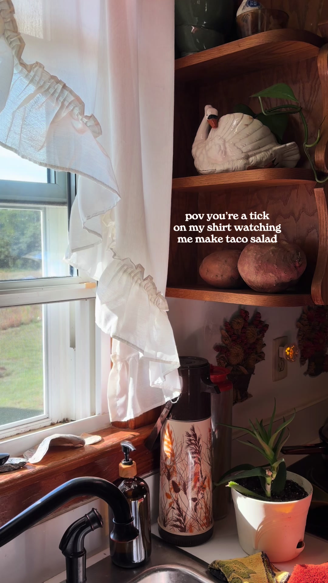 @Haunted Homebody 🍂
