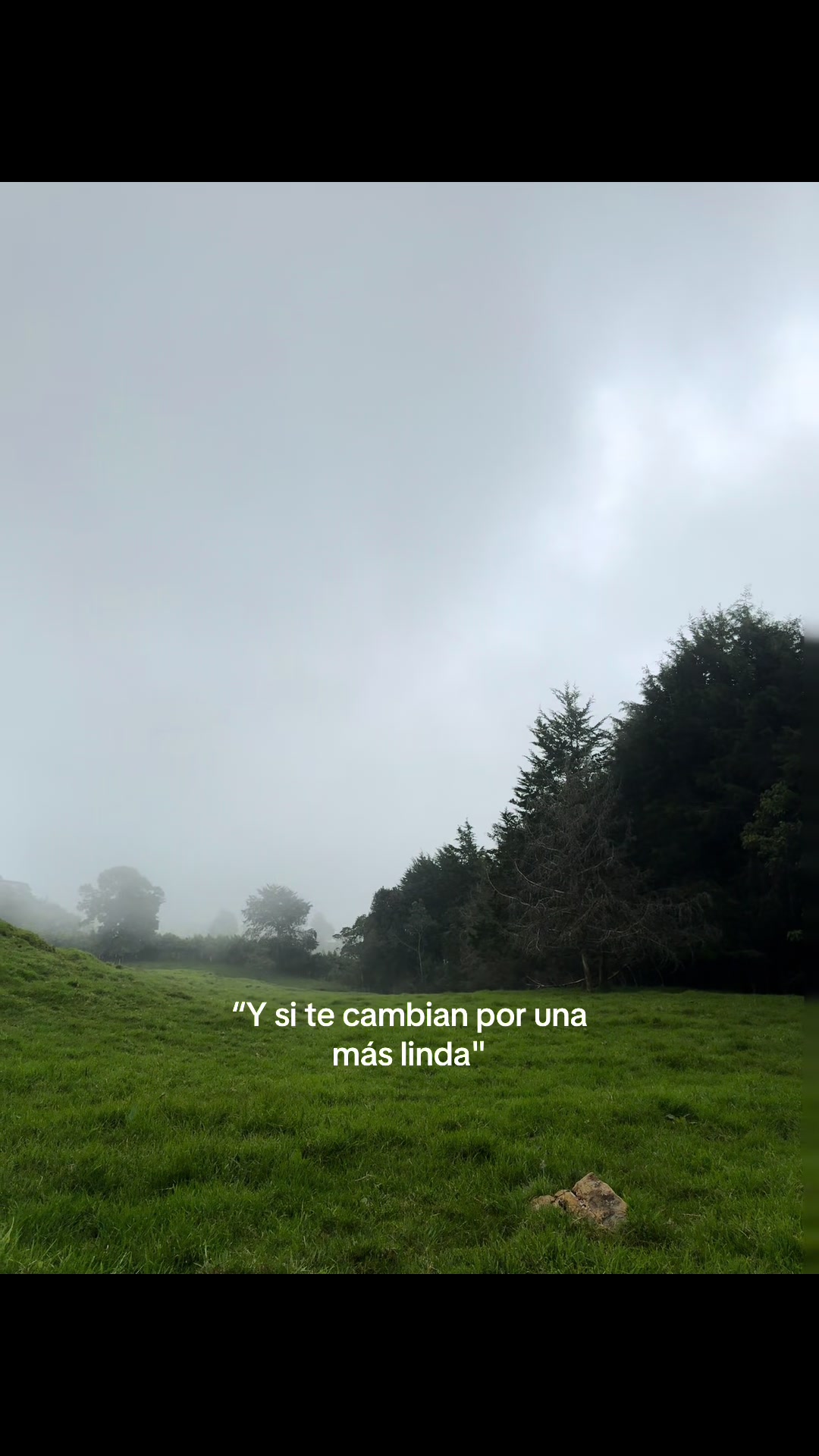 @Camila Aristizabal