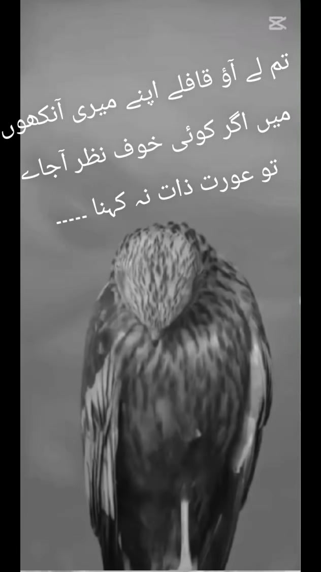 @Ayzal..Noor