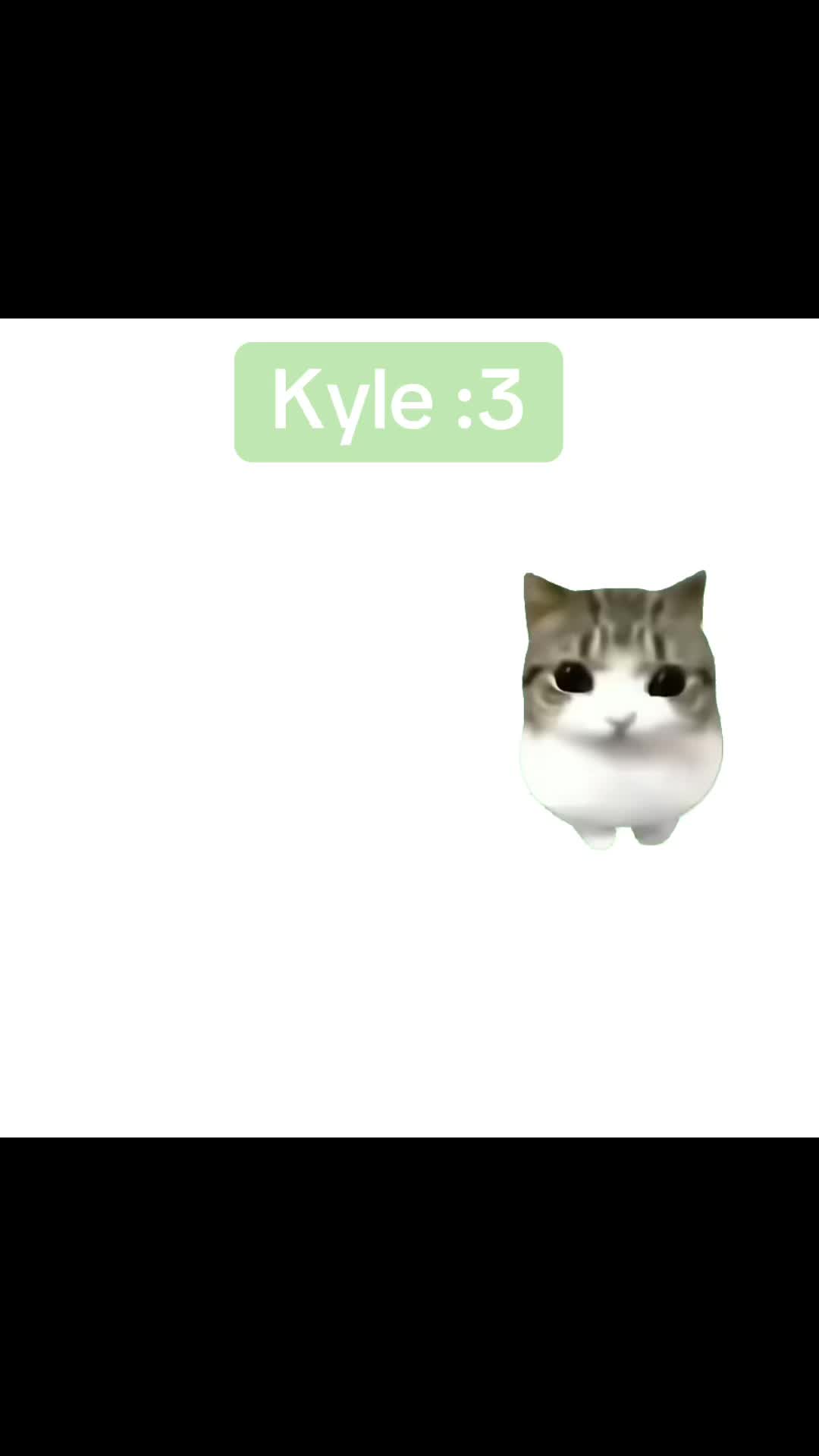@Kyle fan >:3