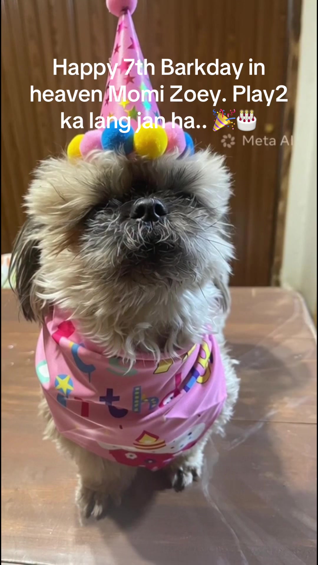 @Furmom Angel
