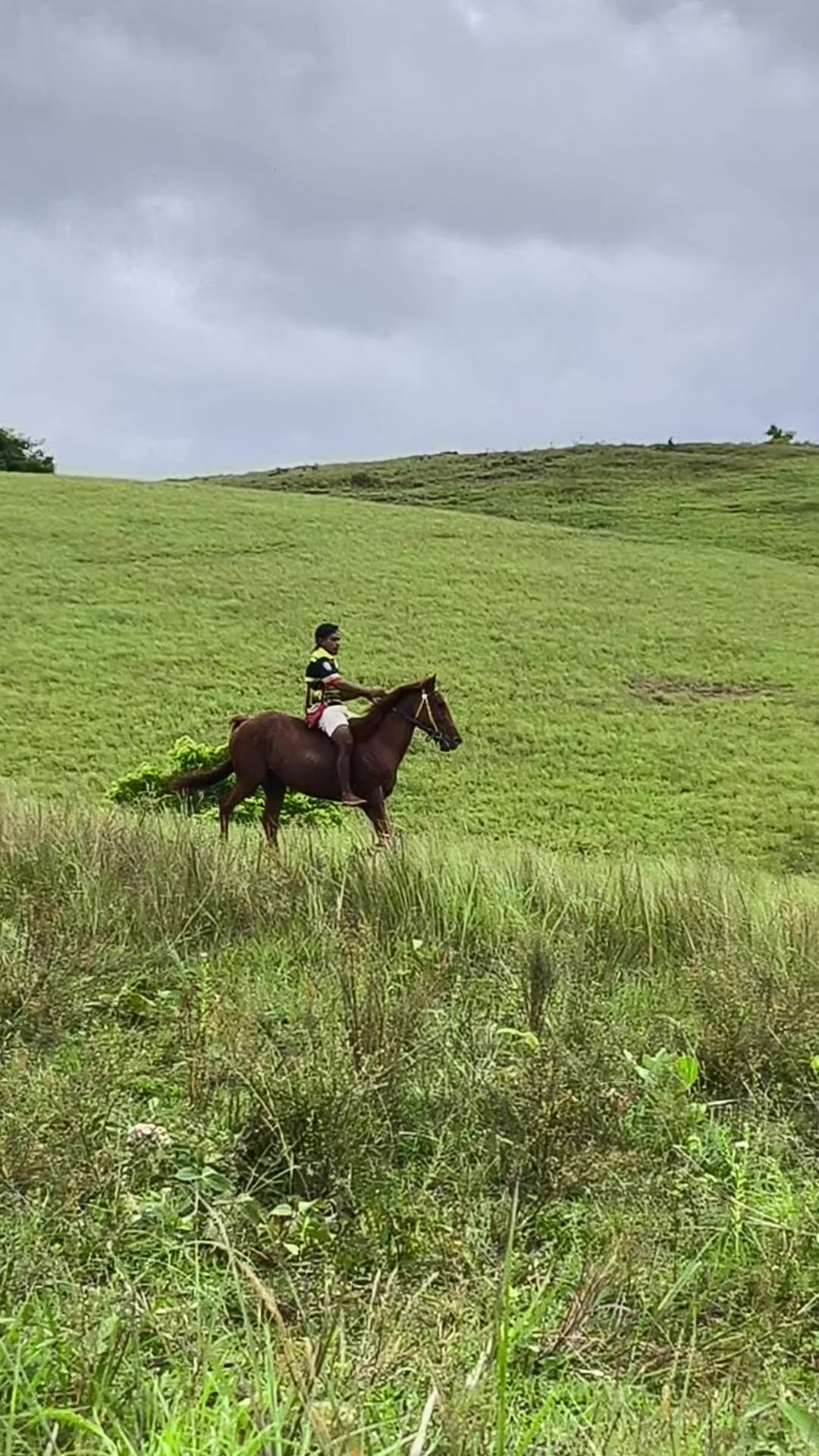 @Wonders Of sumba